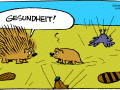 Igel