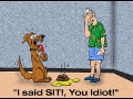 Sit Dog